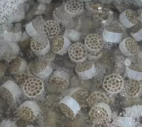 כיצד פועלת מסנן ביו מדיה של MBBR (Moving Bed Biofilm Reactor)?